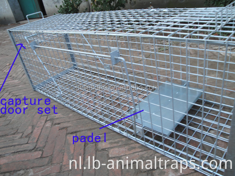 Humane opvouwbare levende dierenval Cage Fox Traps te koop